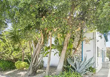 2030_Essex_St_Berkeley